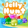 Jelly Hunt Fun