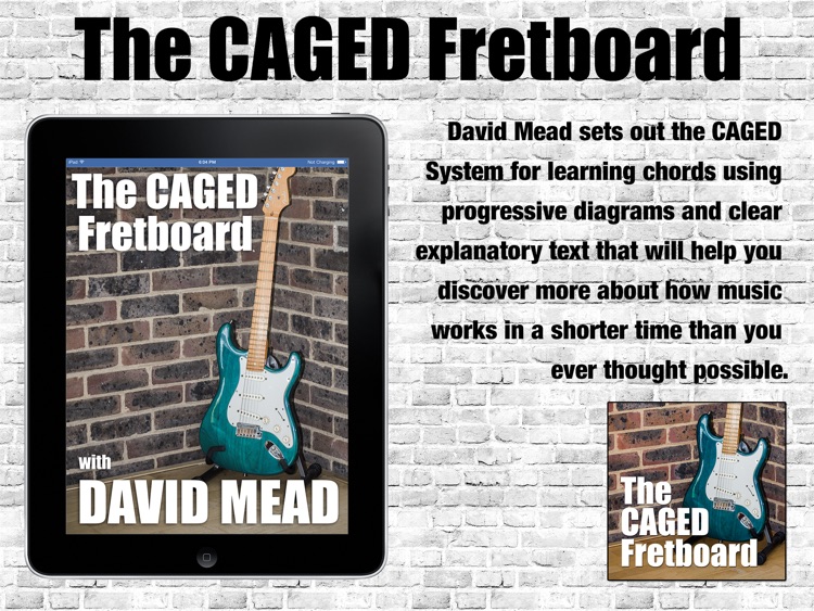 The CAGED Fretboard with David Mead