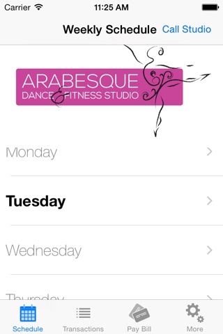 Arabesque Dance and Fitness Studio screenshot 2