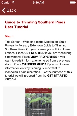 MSUES Southern Pine Thinning screenshot 2