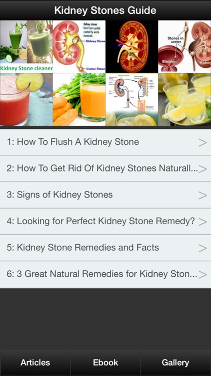Kidney Stones Guide - How To Prevent & Treat Kidney Stones Symptoms