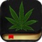 Containing hours upon hours of content, resources, and information for medicinal marijuana users to make you a Smoking Guru