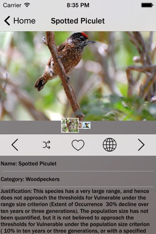 Woodpeckers Encyclopedia Pro screenshot 3