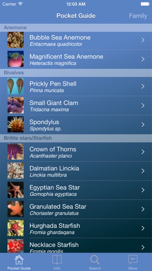 Pocket Guide Red Sea(圖1)-速報App