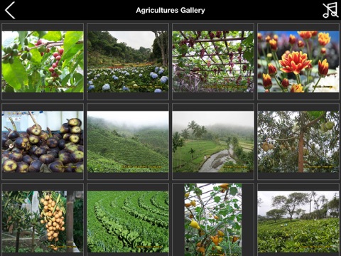 Travel to East Java Indonesia iPad Travel to East Java Indonesia iPad