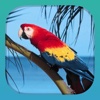 RelaxBook Birds - Sleep sounds for you to relax with tropical birds and canaries
