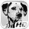 Dalmatian Simulator HD Animal Life