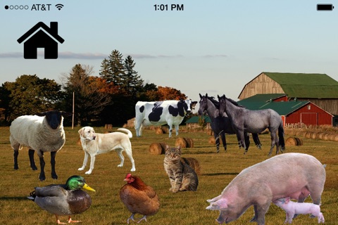 Animal Vocab screenshot 2