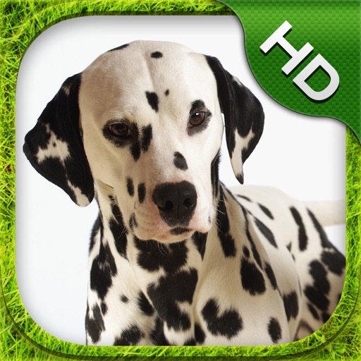Dalmatian Simulator - HD Icon
