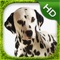 Dalmatian Simulator - HD