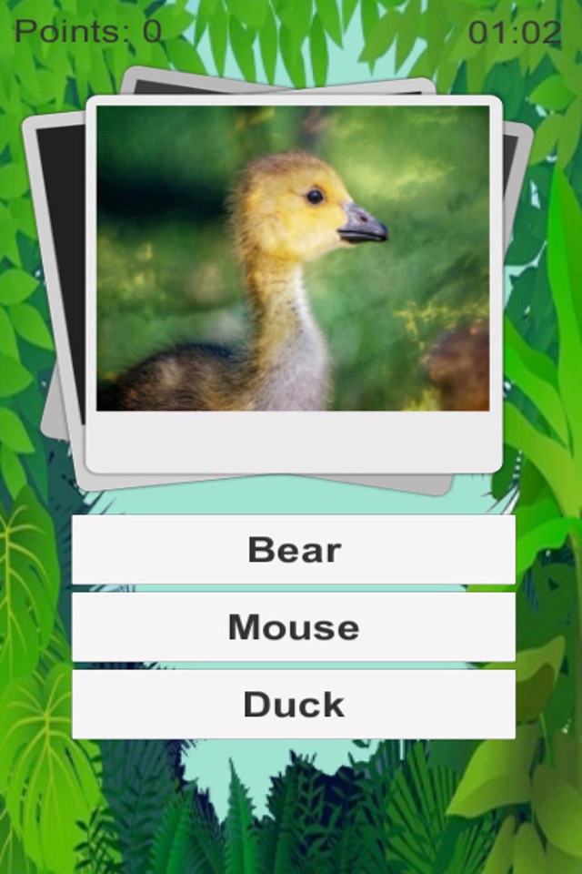 Animal Quiz Kids screenshot 4