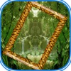 Jungle Photo Frames Free