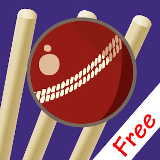 Cricket Pitch Map Free Icon