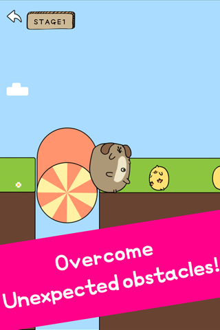 Rolling Animals screenshot 3