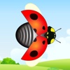 Free Ladybird