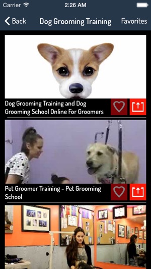 How To Train a Dog - Dog Training Guide(圖2)-速報App