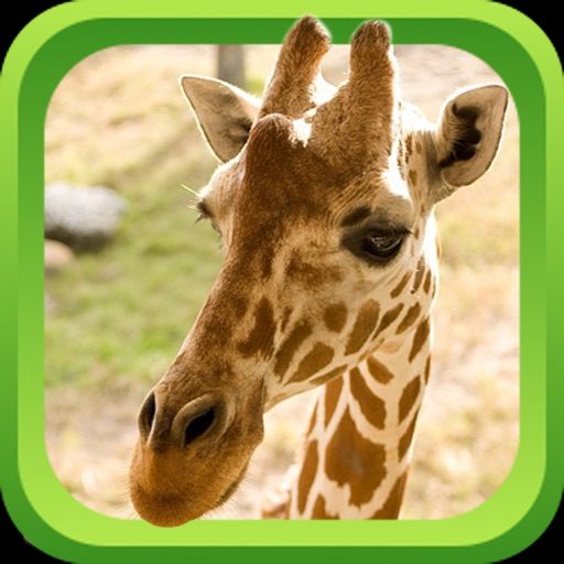 Wild Animal Games & Sounds - Teach Learn & Play iOS App