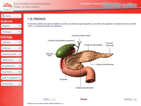 Atlas Diabetes Mellitus screenshot 2