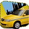 City Taxi Driver 3D