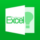 Professor's Daily Tips for Excel