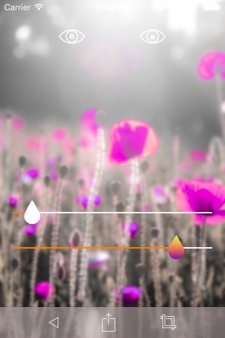 Flower Gallery screenshot 3