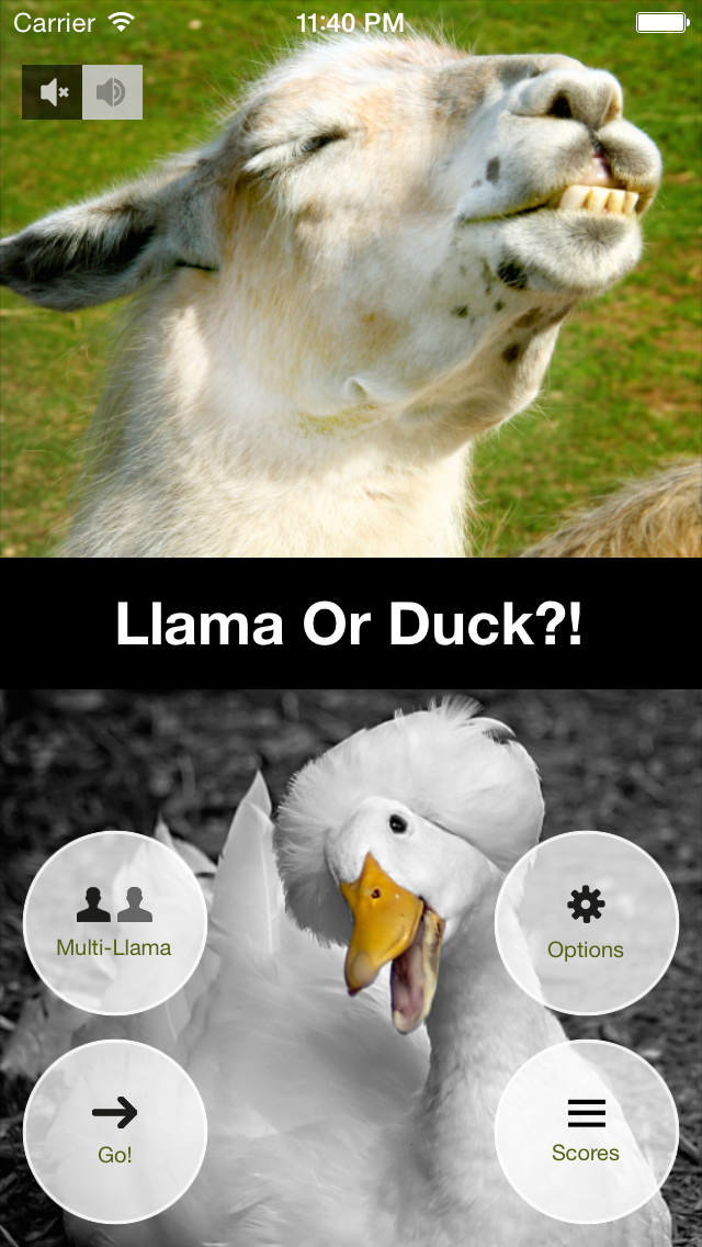Llama Or Duck? screenshot 2