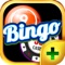 Bonanza Rush PLUS - Play Online Bingo and Game of Chances for FREE !