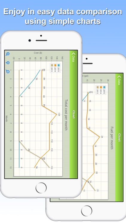 Gasoline Consumption screenshot-4