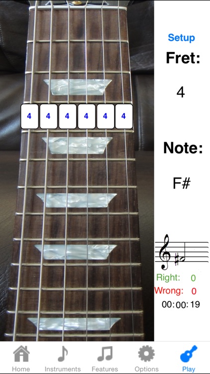 Electric Guitar Fretboard Addict