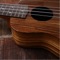 Learn quickly and easily with ukulele app