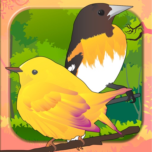 Birds of different kinds around the World Icon