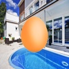 Swimming Egg
