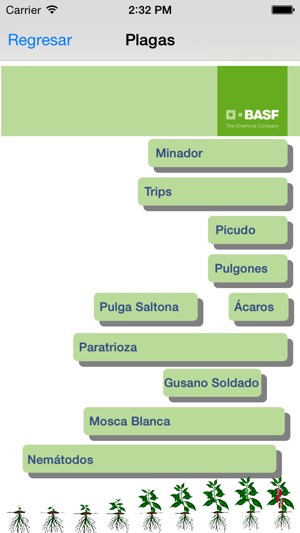 BASF México -  Cultivo del Chile(圖3)-速報App