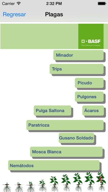 BASF México -  Cultivo del Chile