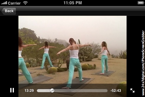 Gentle Vinyasa Slow Flow Yoga VideoApp  with Jyl Auxter screenshot 2