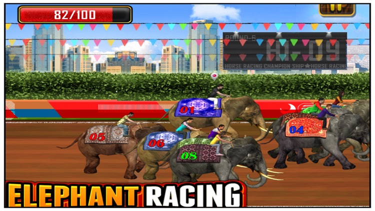 Elephant Racing Simulator screenshot-4