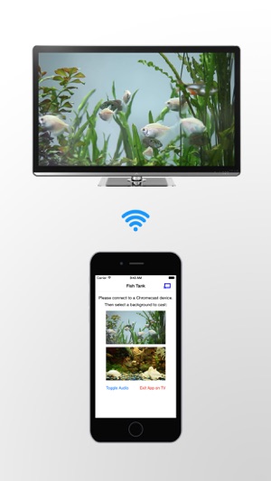 Fish Tank on TV for Chromecast(圖1)-速報App