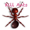Kill Ants Game