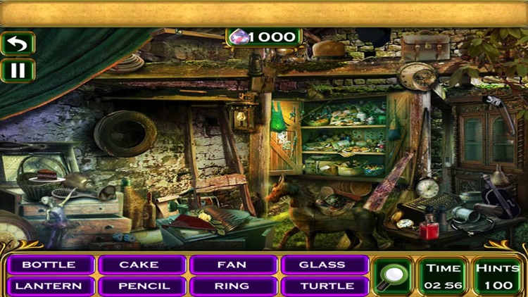 Princess Christmas Hidden Objects