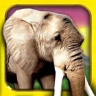 Safari Run Free - Wild Animal Jam Running Survival Games for Kids