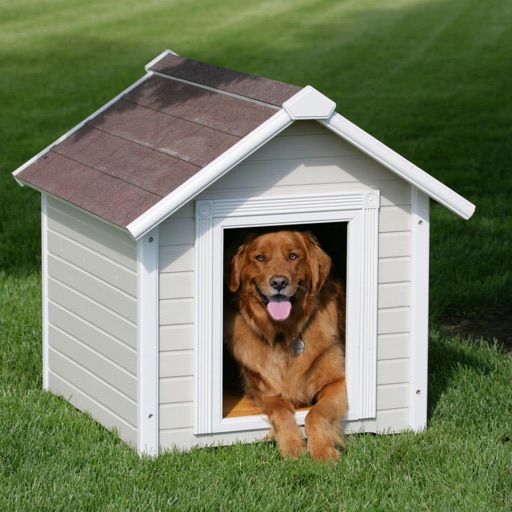 How to DIY Make A Simple Pet House:Guide and Tips icon