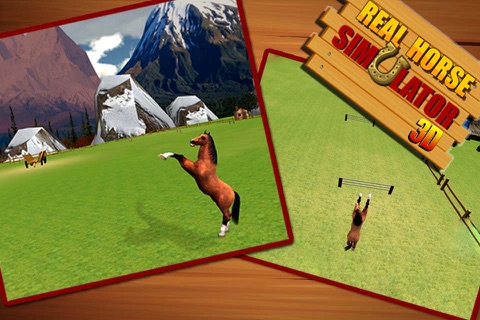 Real Horse Simulator 3D - Experience the ride of Wild horse in challenging & Ultimate farm field screenshot 4