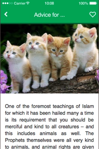 Islamic Articles screenshot 3