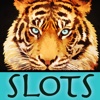 AAA Adventure of Lions and Tigers Slots Safari Share - Free Slots (Realistic Simulation)