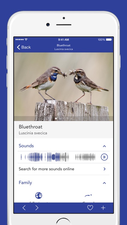 iKnow Birds 2 PRO - The Field Guide to the Birds of North America
