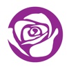 The Purple Rose Theatre