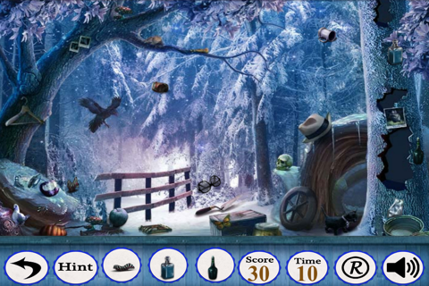 Hidden Objects:A Frozen Adventure screenshot 3