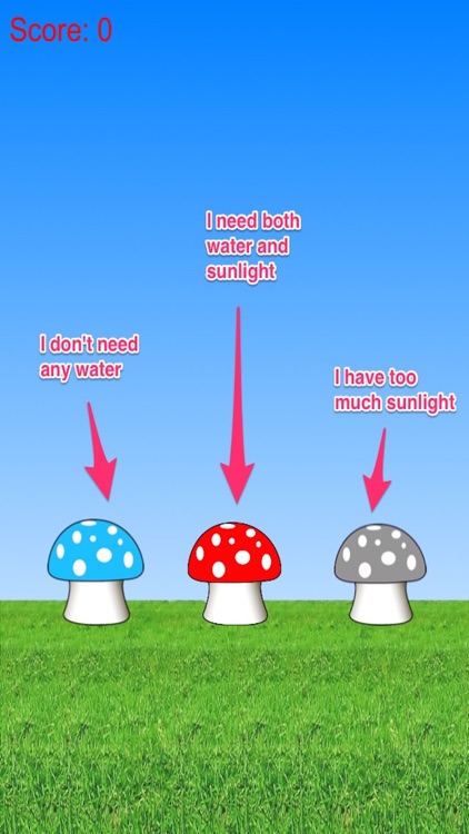 Collect Water And Sunlight: Grow Cute Mushroom Free