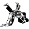 A collection of 203 easy to follow instructional video lessons on the Martial Art of Judo