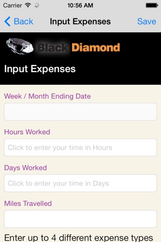 Black Diamond Accountancy Expenses screenshot 3